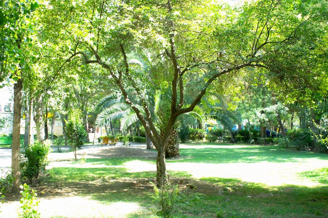Gemeenschapsgevoel in tuinparken: samenleven in het groen