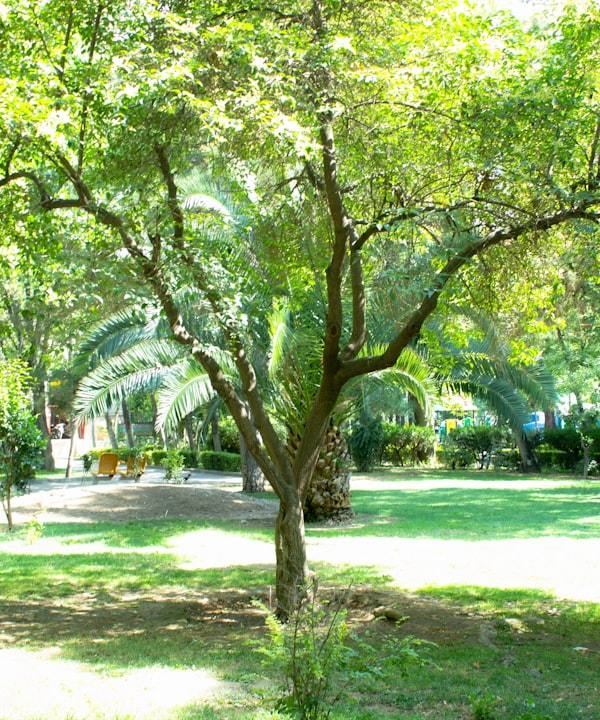 Hoe vind je een huisje in een tuinpark? Tips en platforms