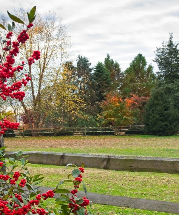 Seizoensgebonden versus permanent wonen in een tuinpark