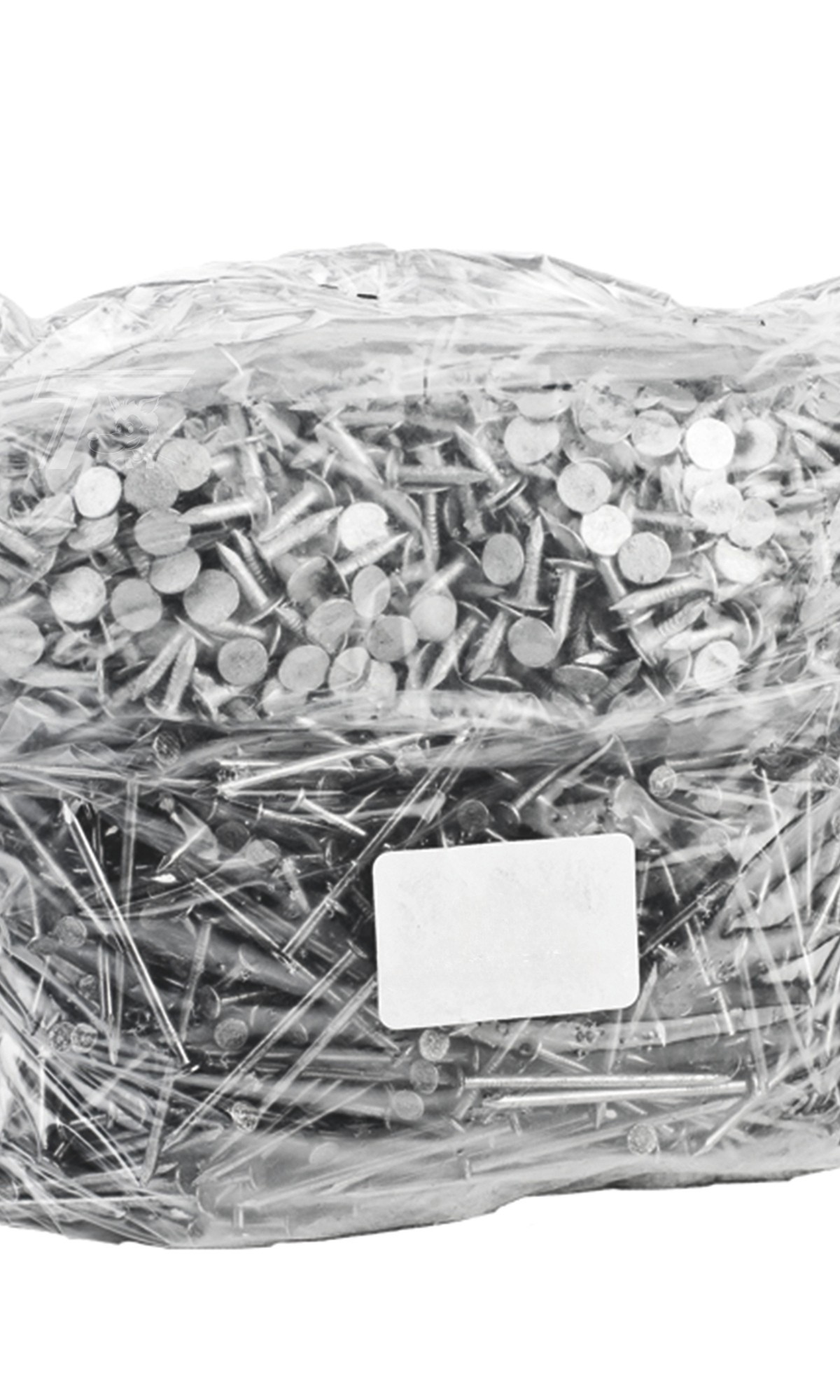 Asfaltnagels verzinkt 3,0 x 15 mm (200st.)