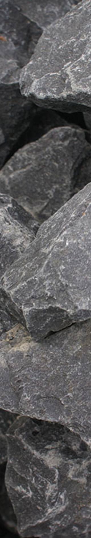 Schanskorven
