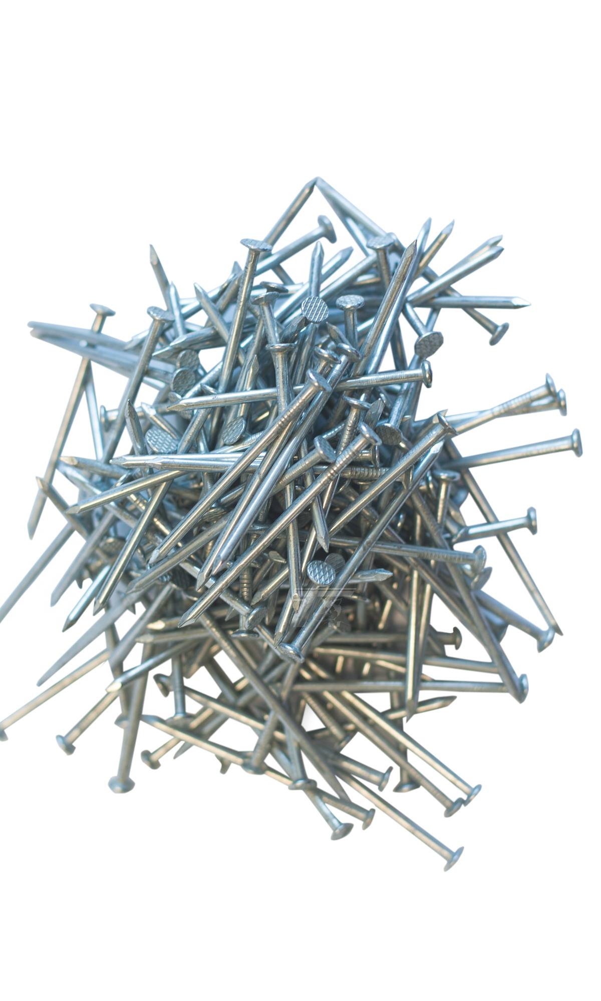 Dakplankspijkers 2,5 x 55 mm (200st.)