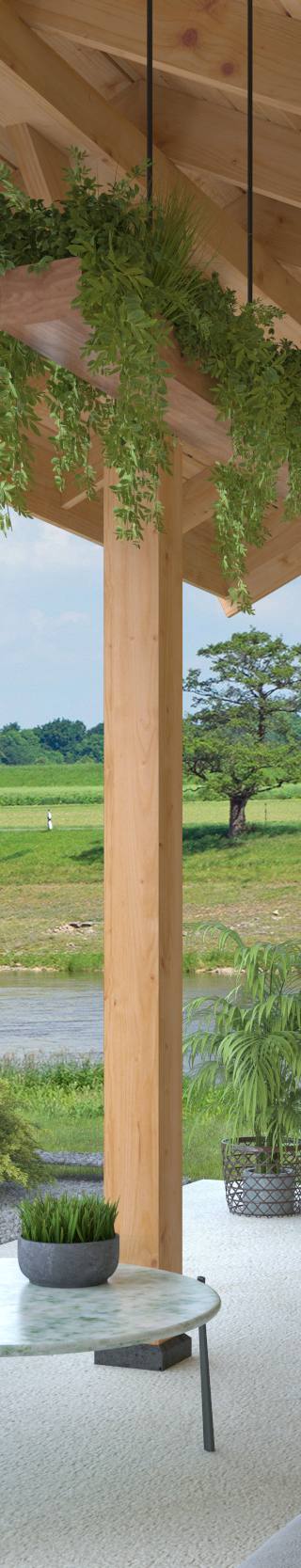 DHZ Kapschuur Boekelo Douglas 900 x 250 cm — afbeelding 3