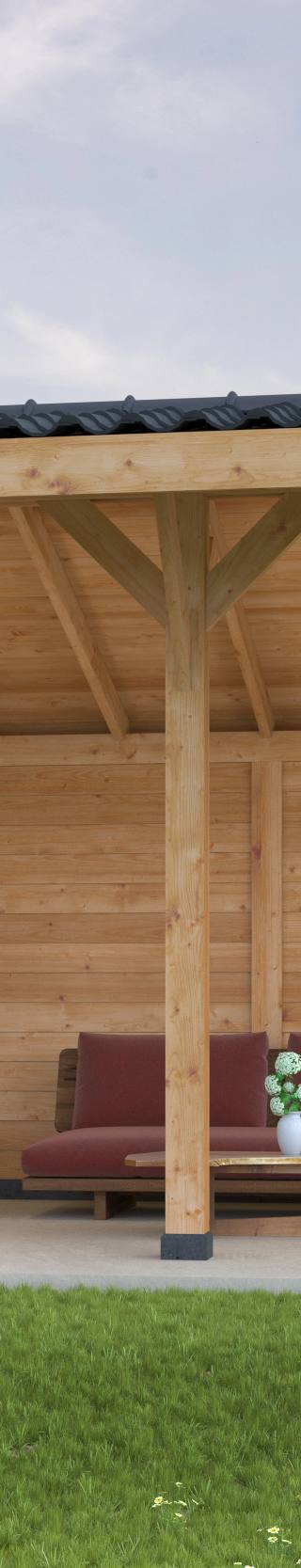 DHZ Kapschuur Goor Douglas 600 x 300 cm — afbeelding 2