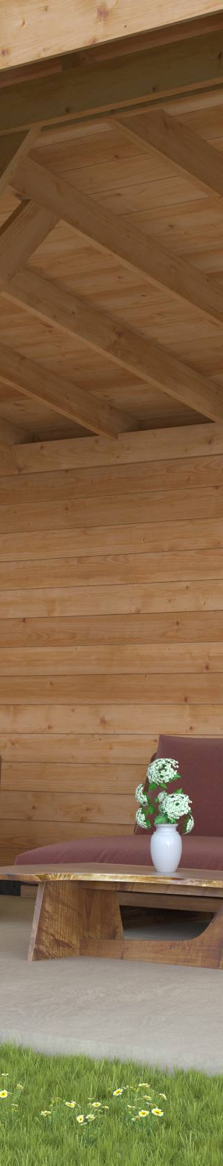 DHZ Kapschuur Goor Douglas 600 x 300 cm — afbeelding 3