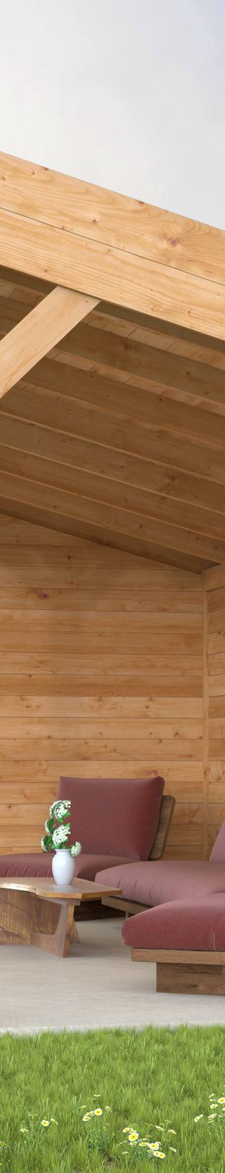 DHZ Kapschuur Goor Douglas 600 x 300 cm — afbeelding 4