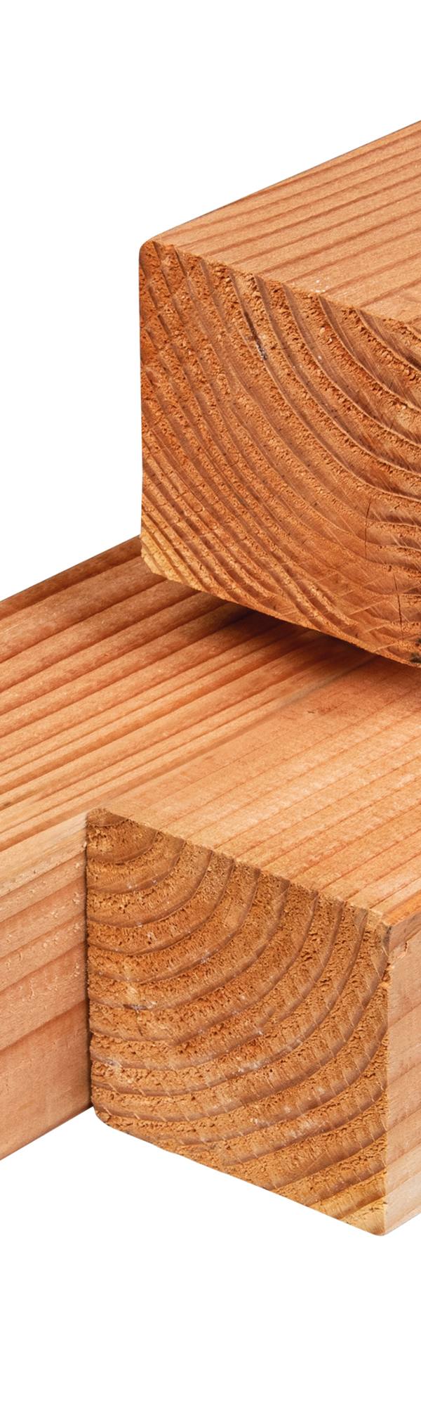 Douglas paal 11,0 x 11,0 x 250 cm, gedroogd, geschaafd, 4 ronde hoeken