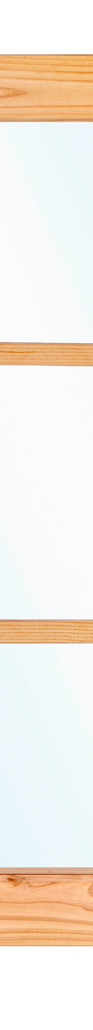 Douglas vastraam (zijlicht) 45 x 150 cm — 2
