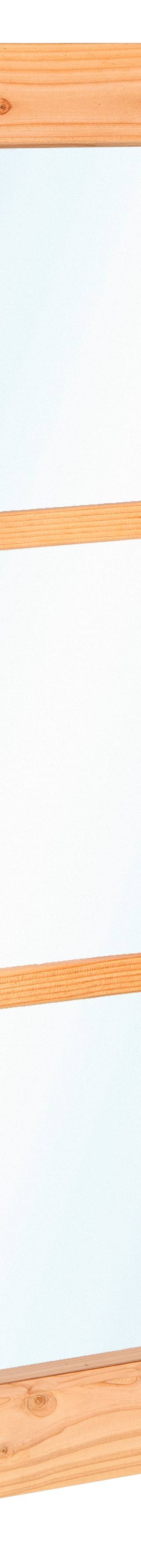 Douglas vastraam (zijlicht) 45 x 150 cm — 1