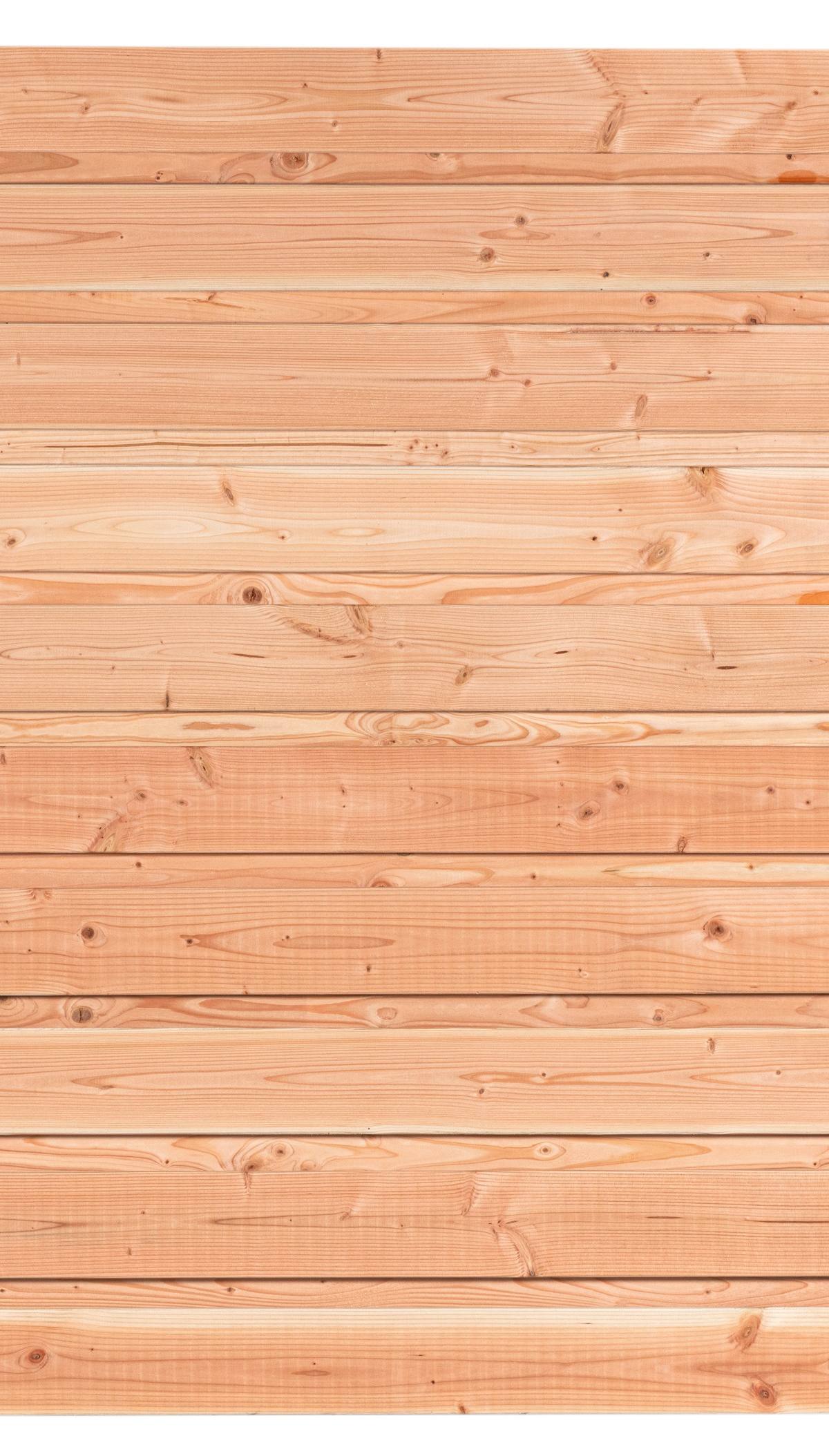 Tuinscherm Jasmund, douglas, RVS-geschroefd, horizontaal, 21-planks (19+2) 180 x 180 cm