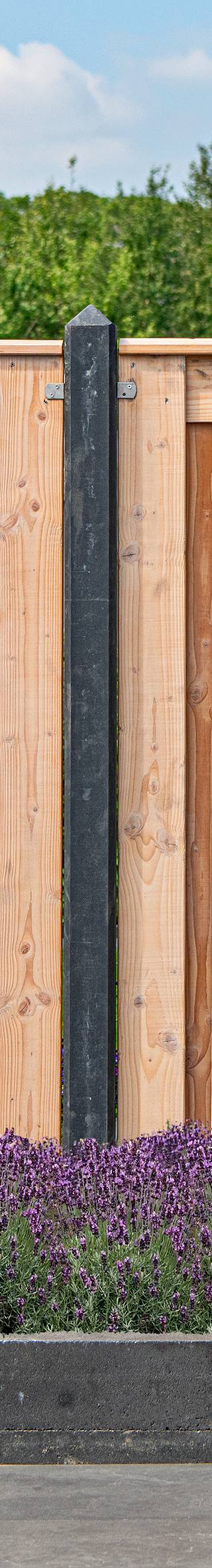 Tuinscherm Zwarte Woud, douglas, RVS-geschroefd, 21-planks (19+2) 180 x 180 cm — 2