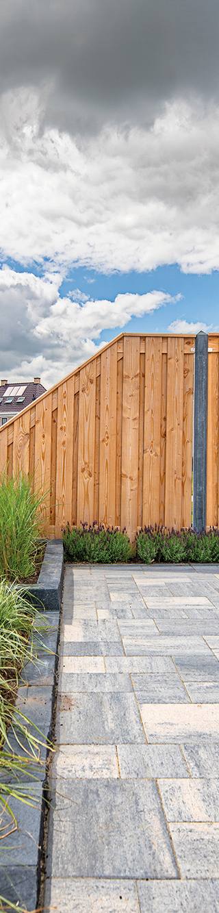 Tuinscherm Zwarte Woud, douglas, RVS-geschroefd, 21-planks (19+2) 180 x 180 cm — 4
