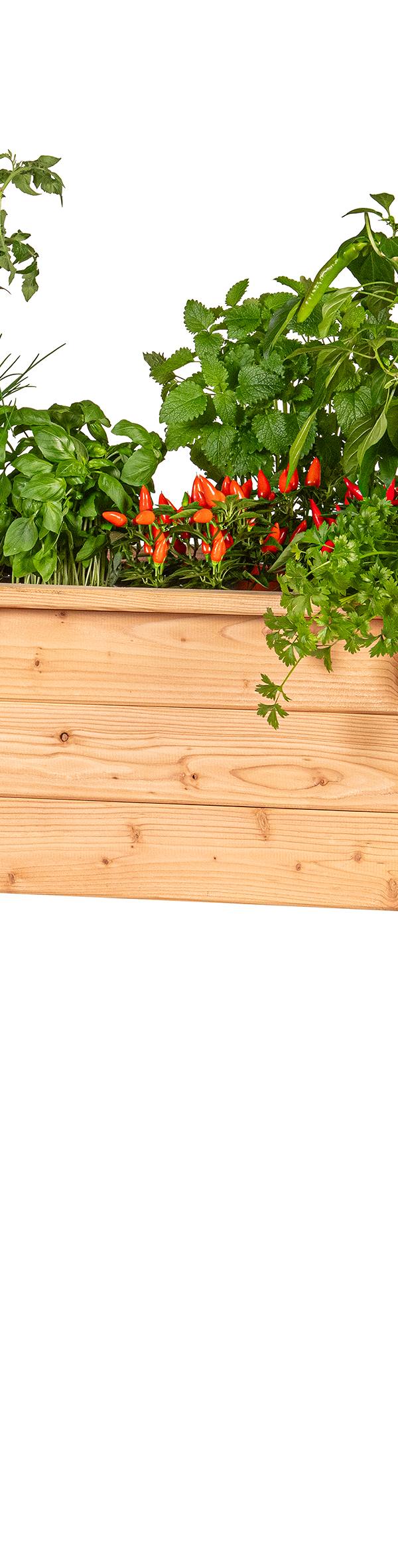 Verhoogde moestuinbak, lariks B120 x D60 x H80 cm