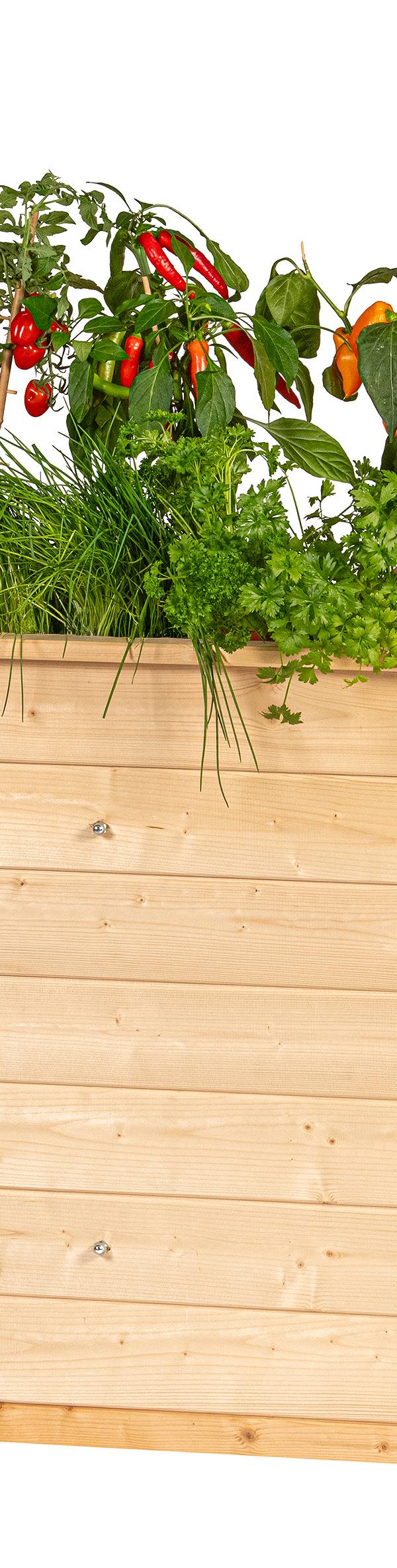 Verhoogde plantenbak Neckar, onbehandeld vuren B150 x D76 x H79 cm